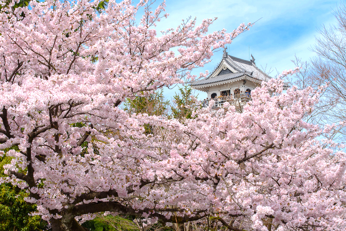 豊公園（長浜城跡）