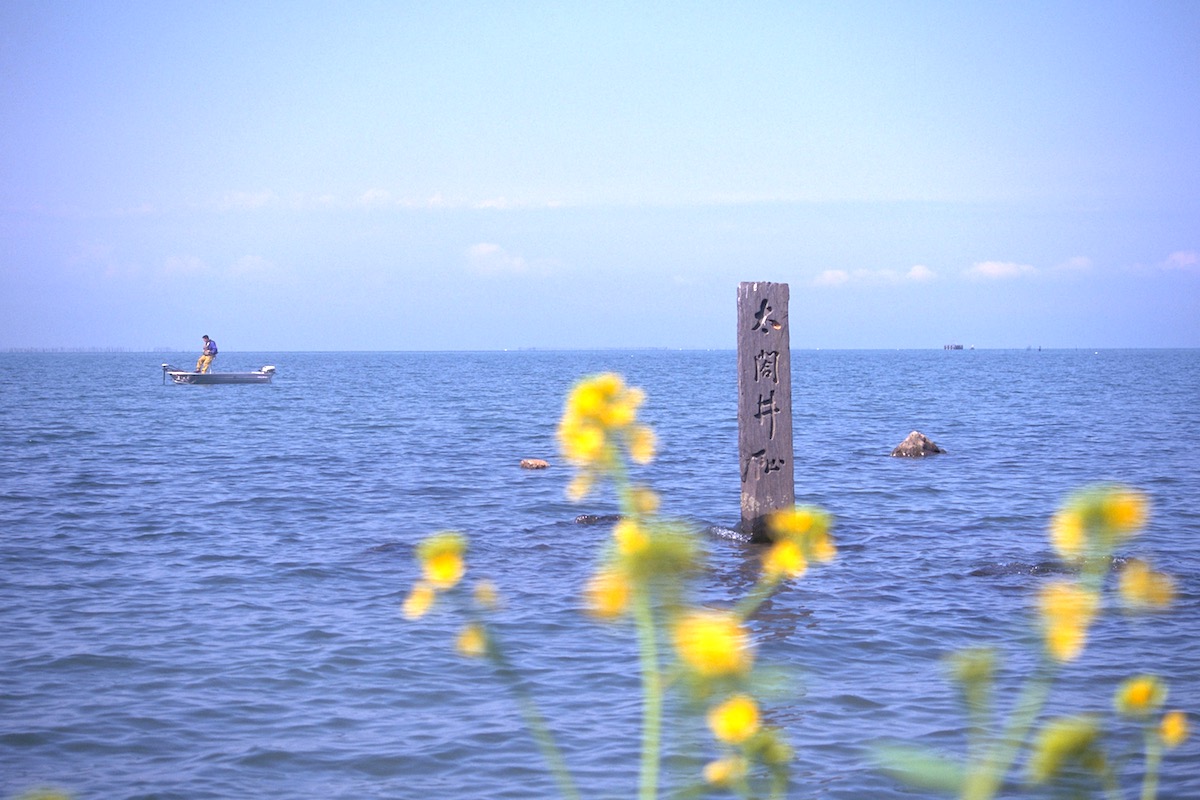 豊公園（長浜城跡）
