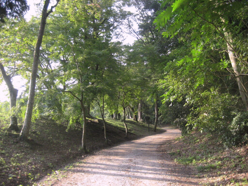 八幡城