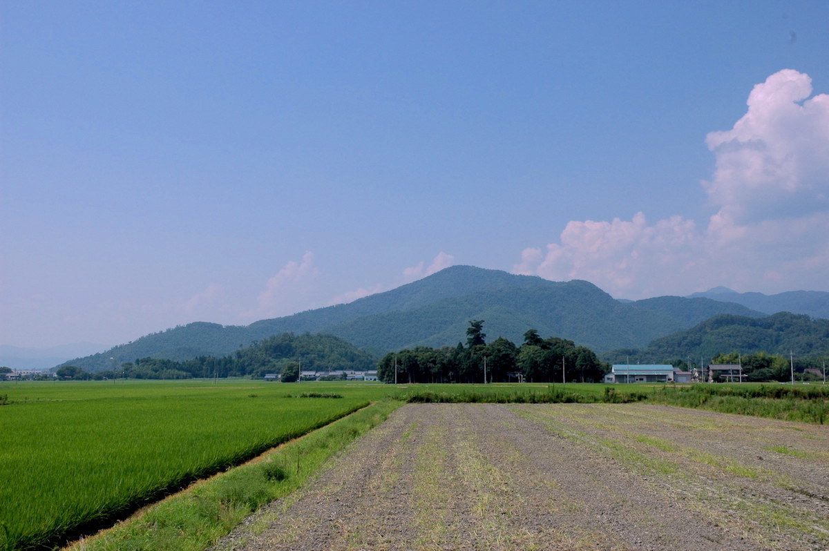 小谷城
