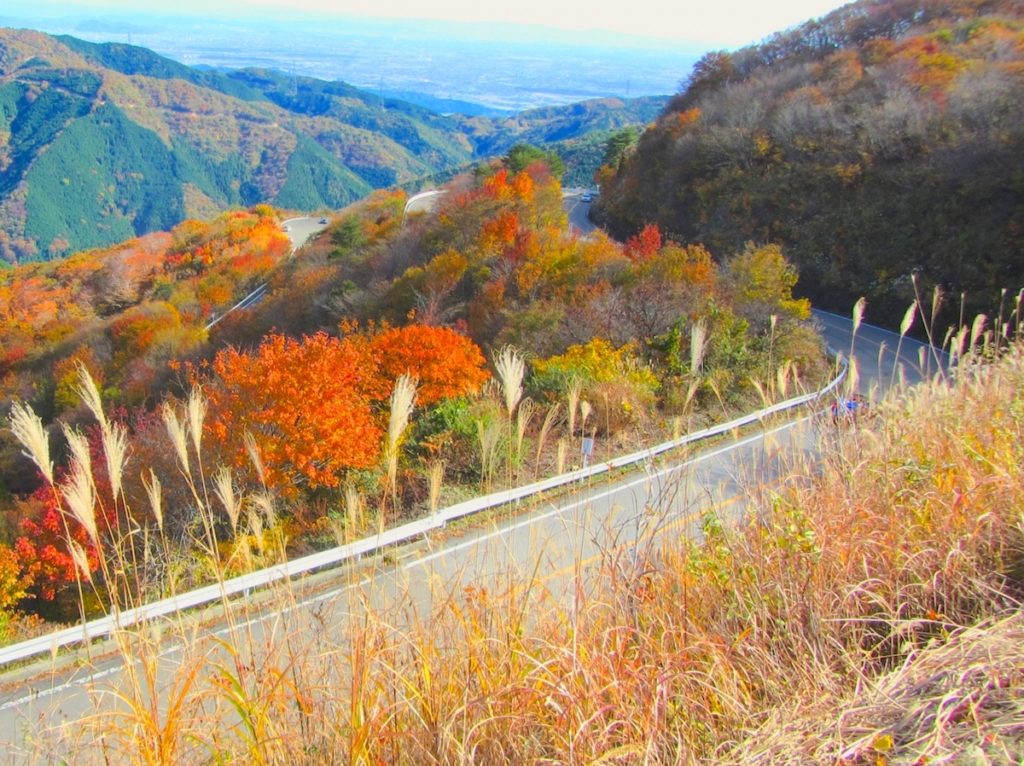 伊吹山ドライブウェイ