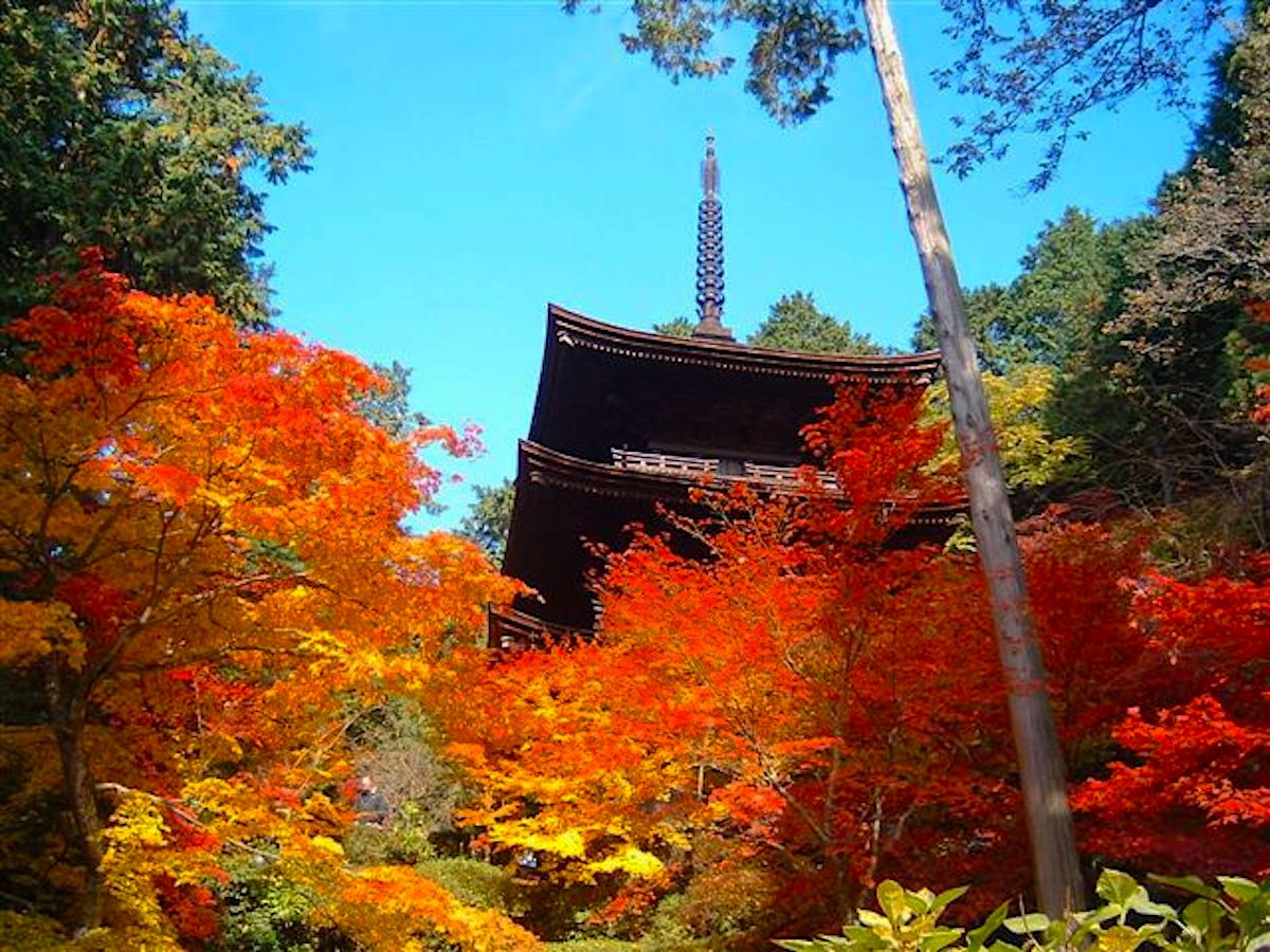 金剛輪寺