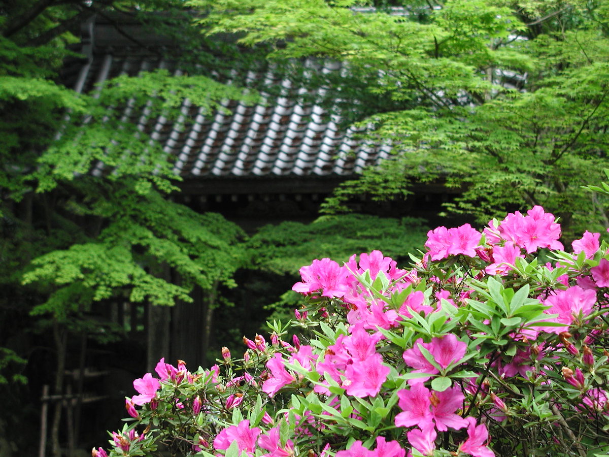金剛輪寺
