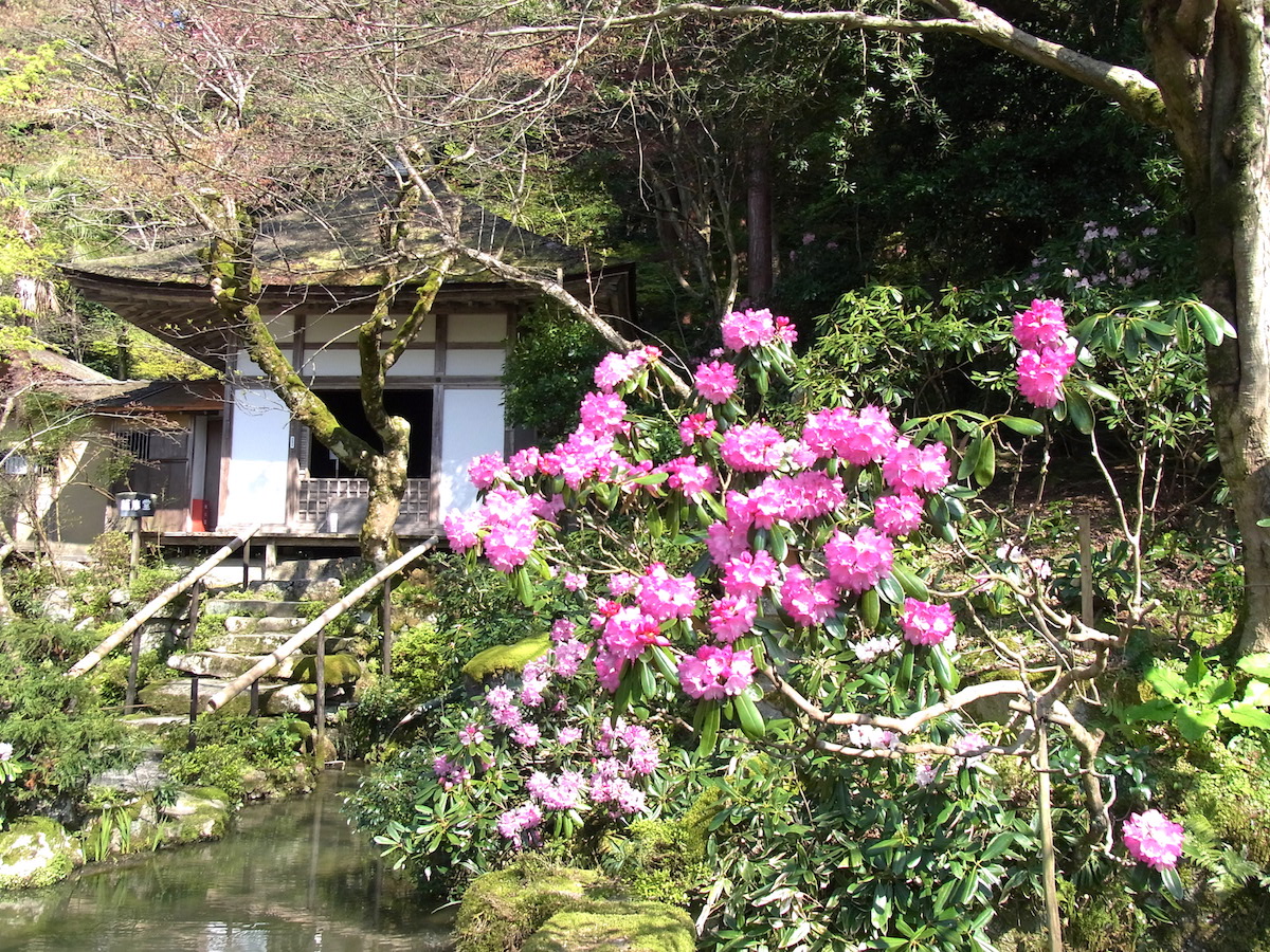 金剛輪寺