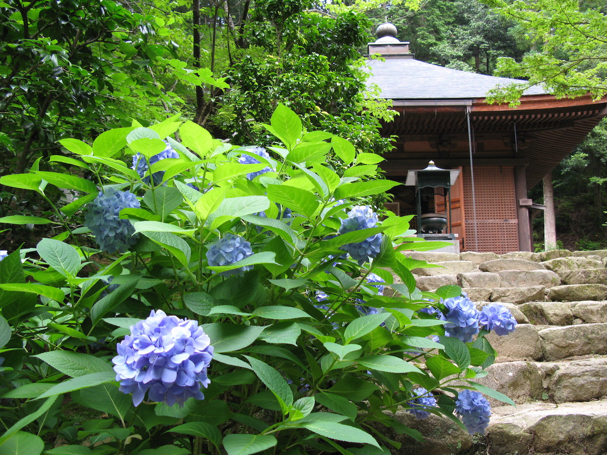 金剛輪寺