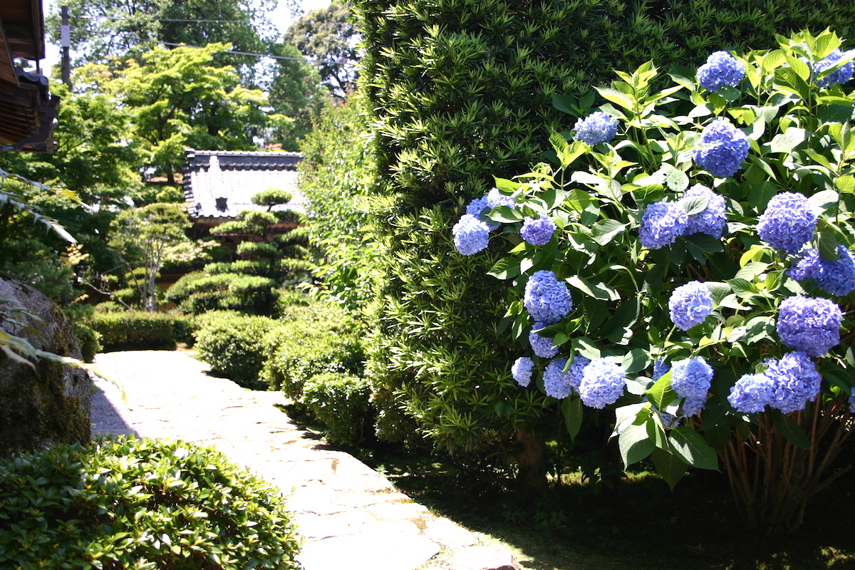 西明寺