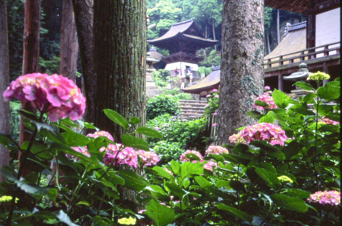長命寺