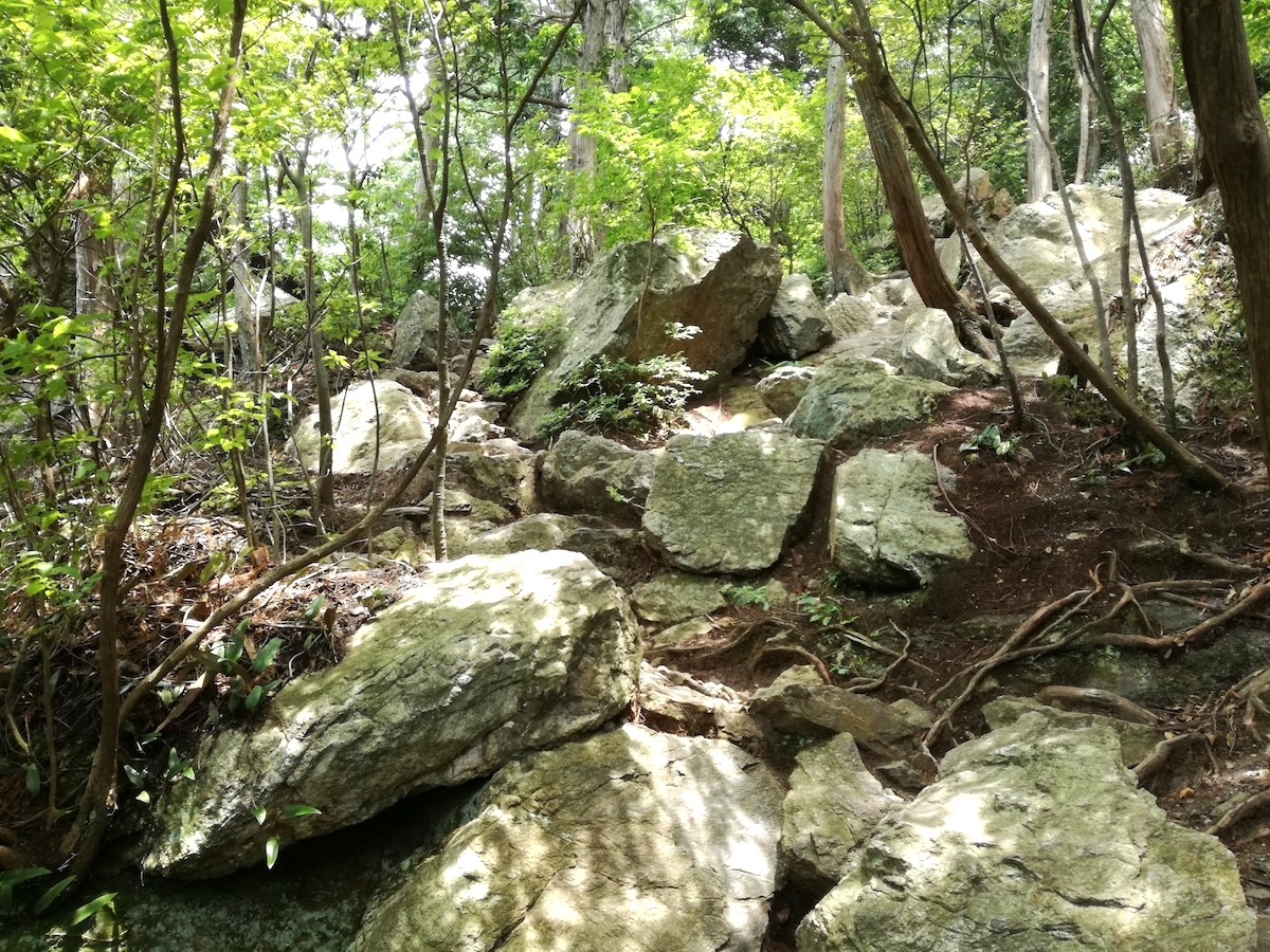 三上山(近江富士)