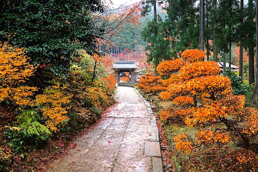近江孤篷庵