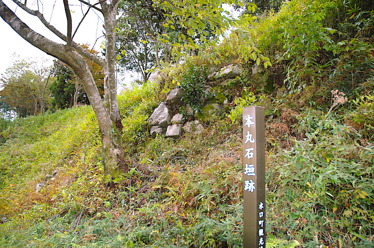 水口岡山城跡