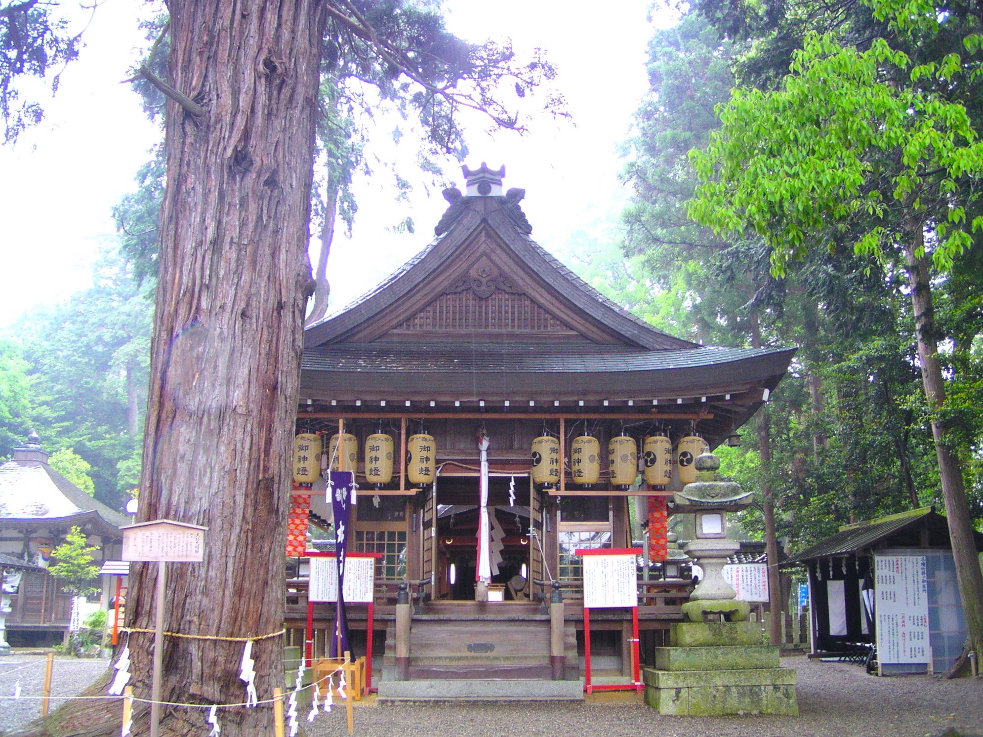 賀茂神社