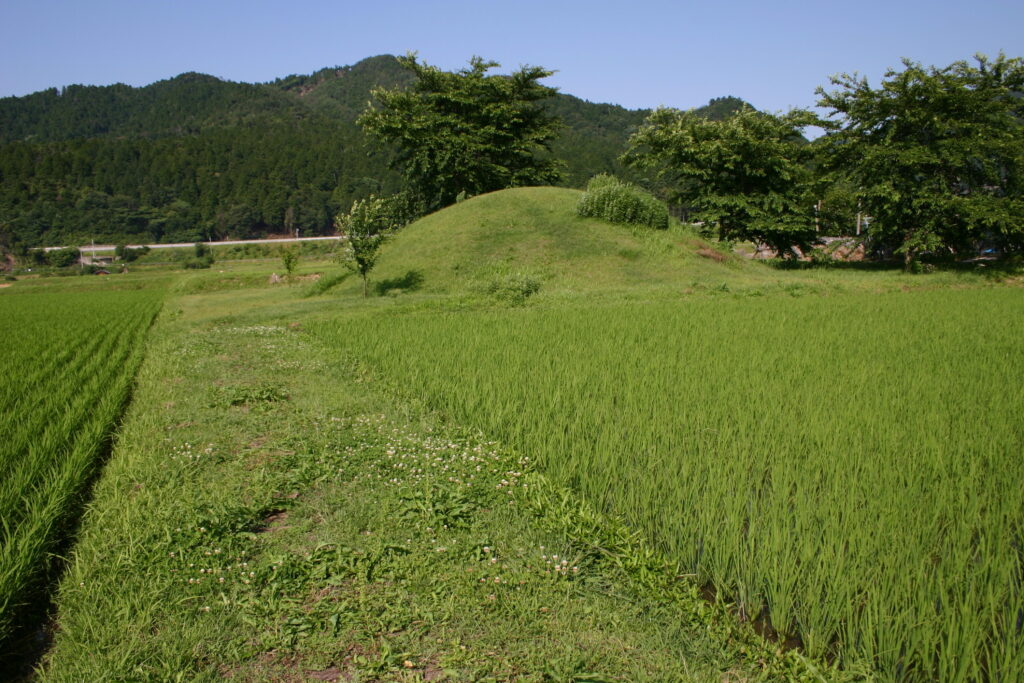 依智秦氏の里古墳公園（上蚊野古墳群）