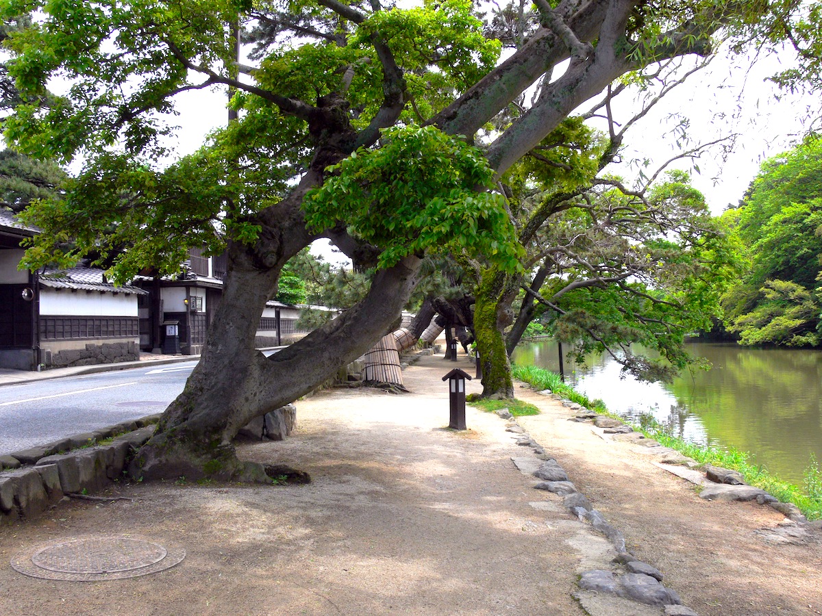 塩見縄手