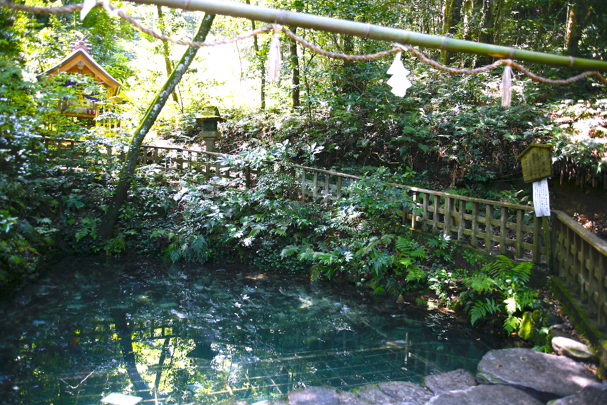 八重垣神社・鏡の池