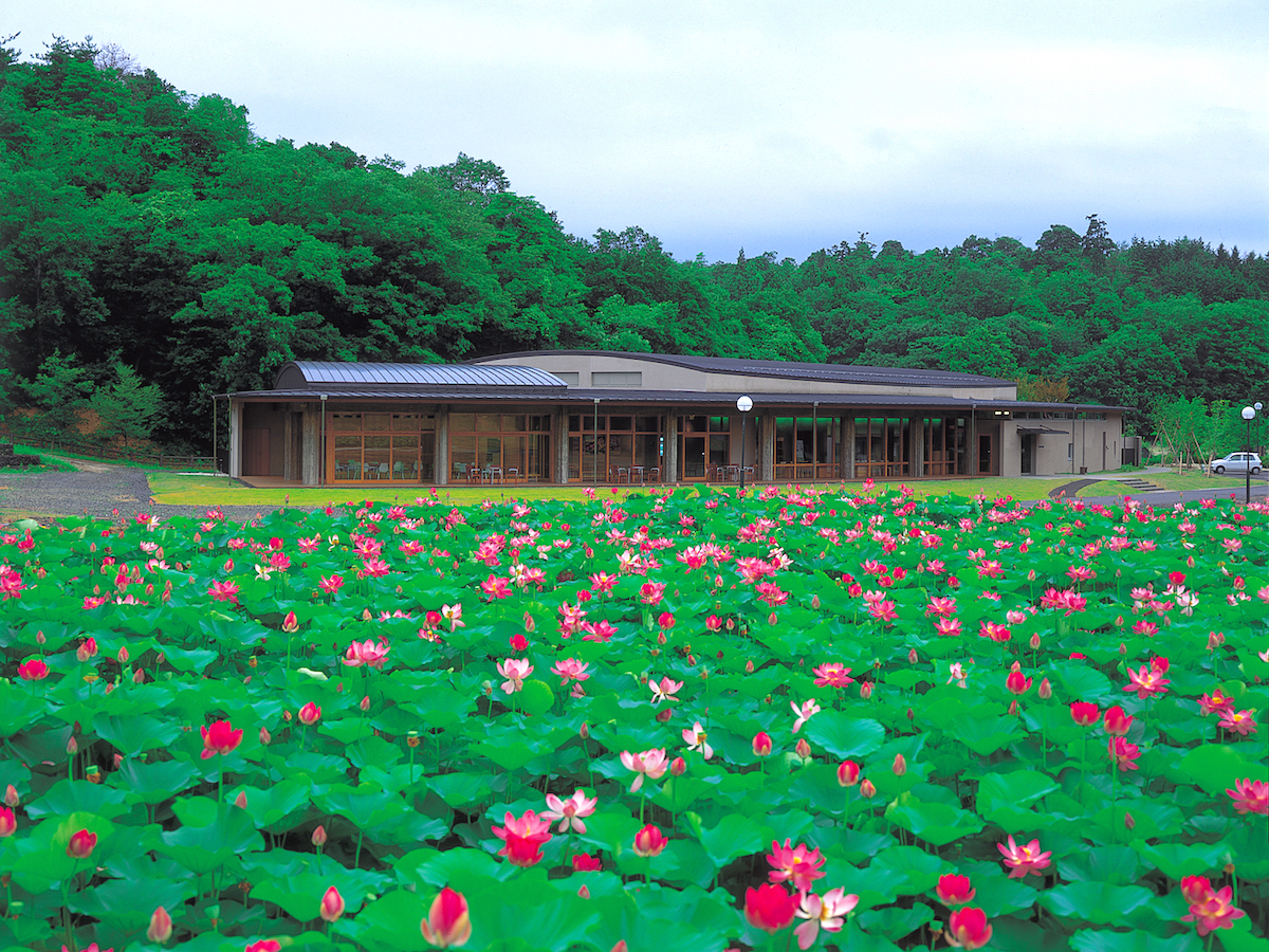 荒神谷史跡公園
