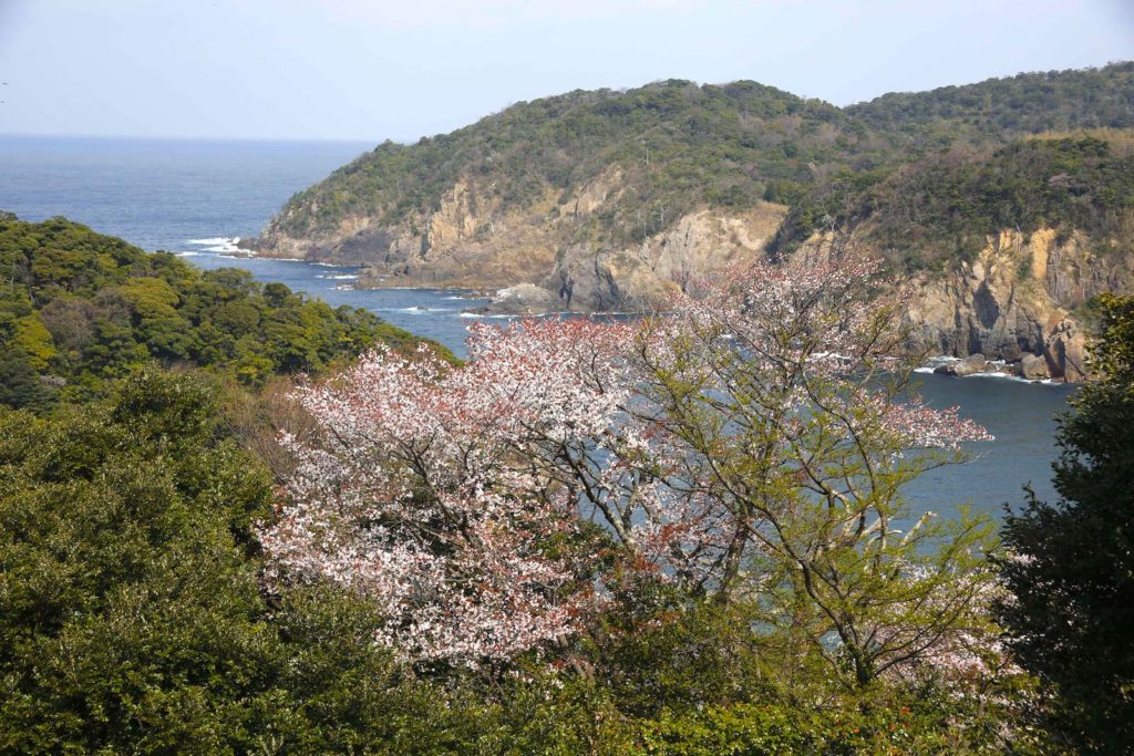 浜田城跡