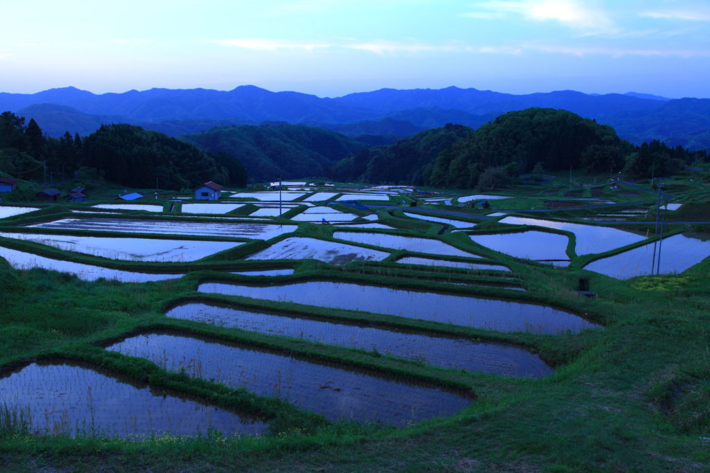 山王寺の棚田