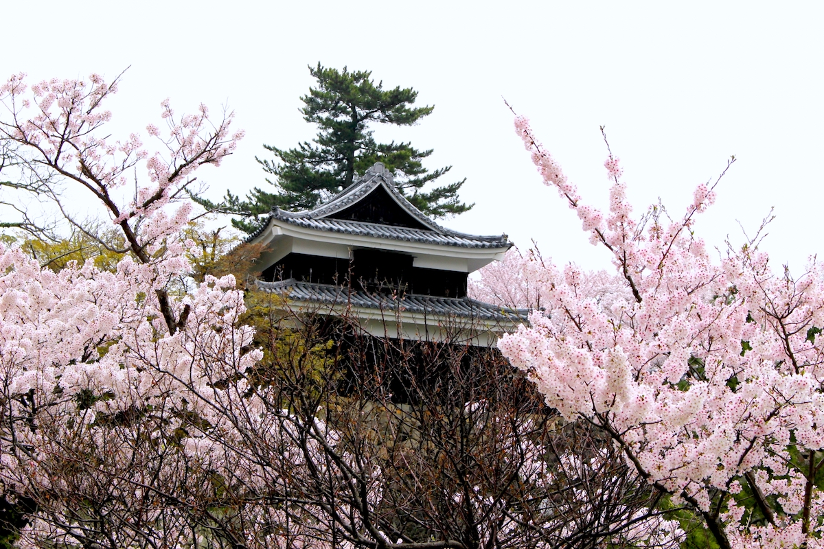 松江城・南櫓