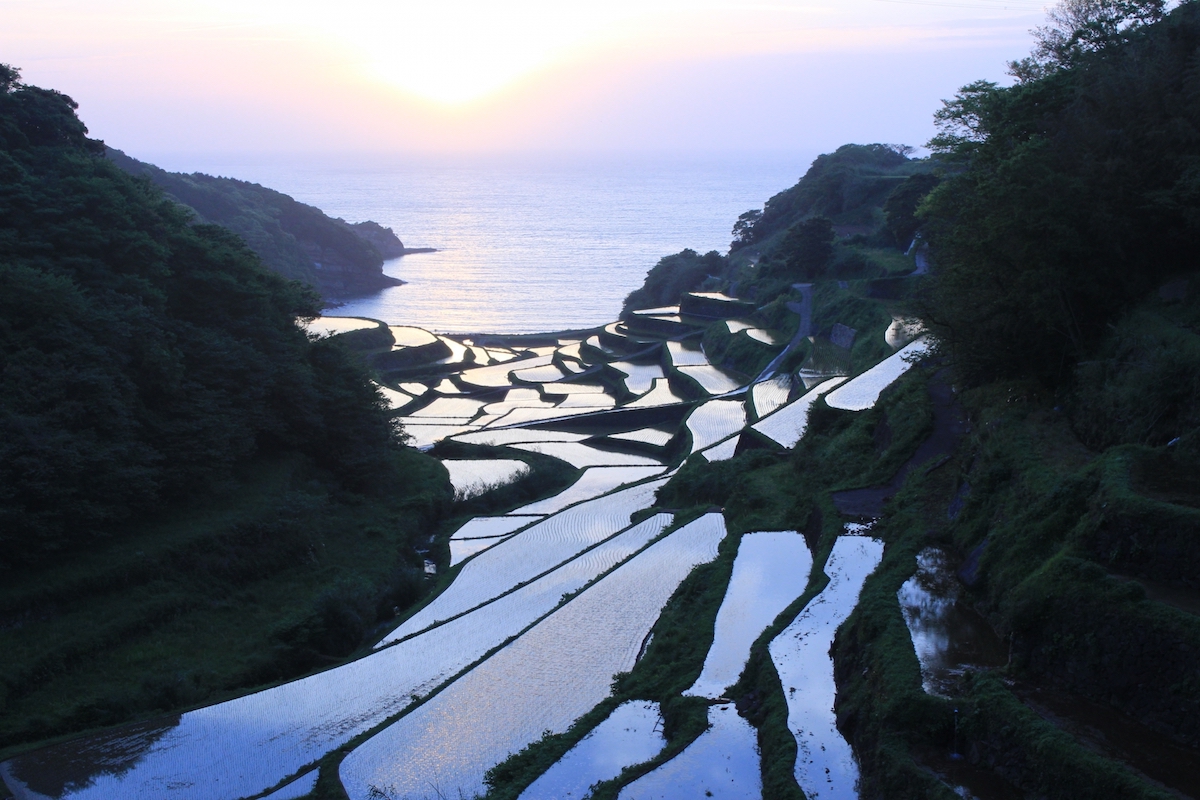 浜野浦の棚田