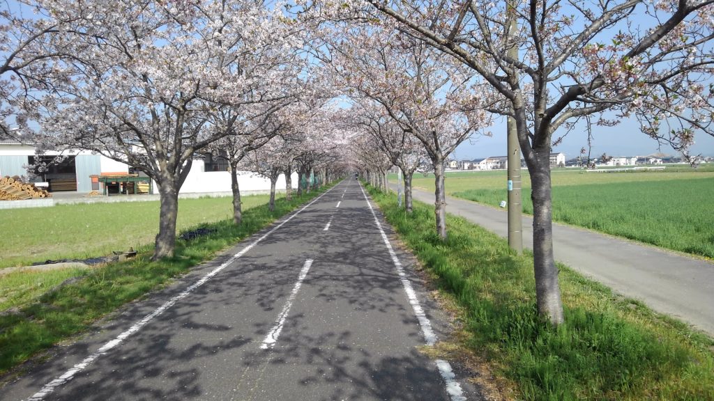 徐福サイクルロード（旧国鉄佐賀線跡）