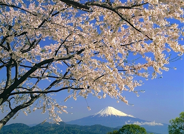 日本平