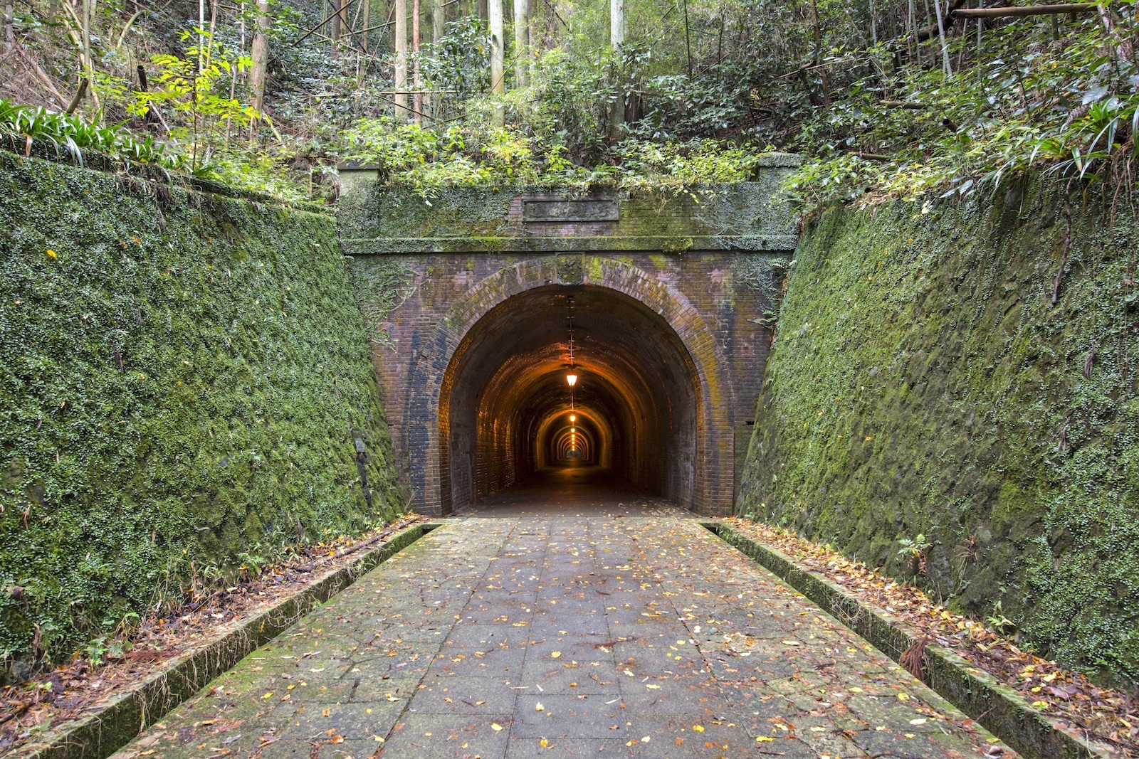 宇津ノ谷隧道（明治のトンネル）
