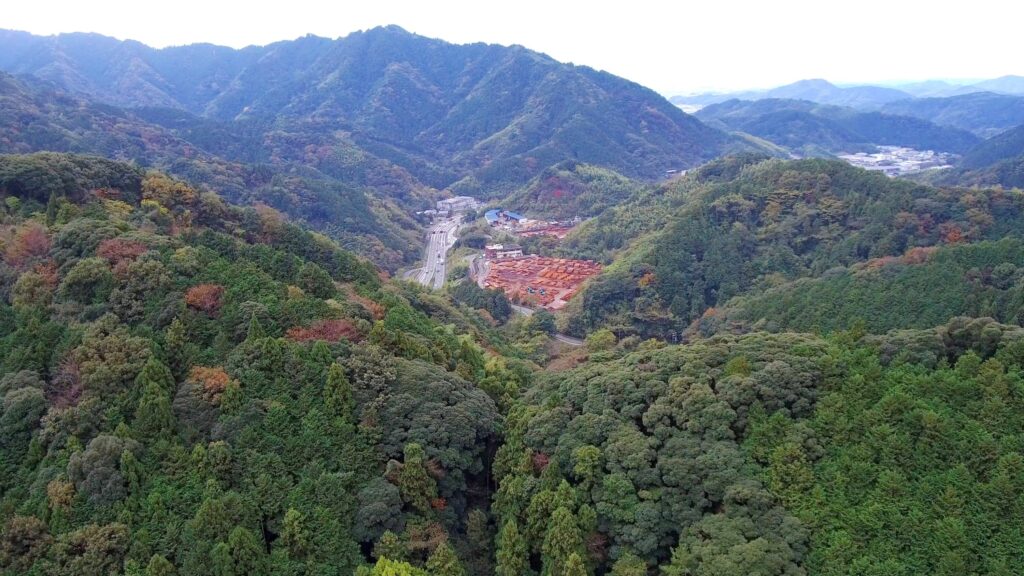 蔦の細道