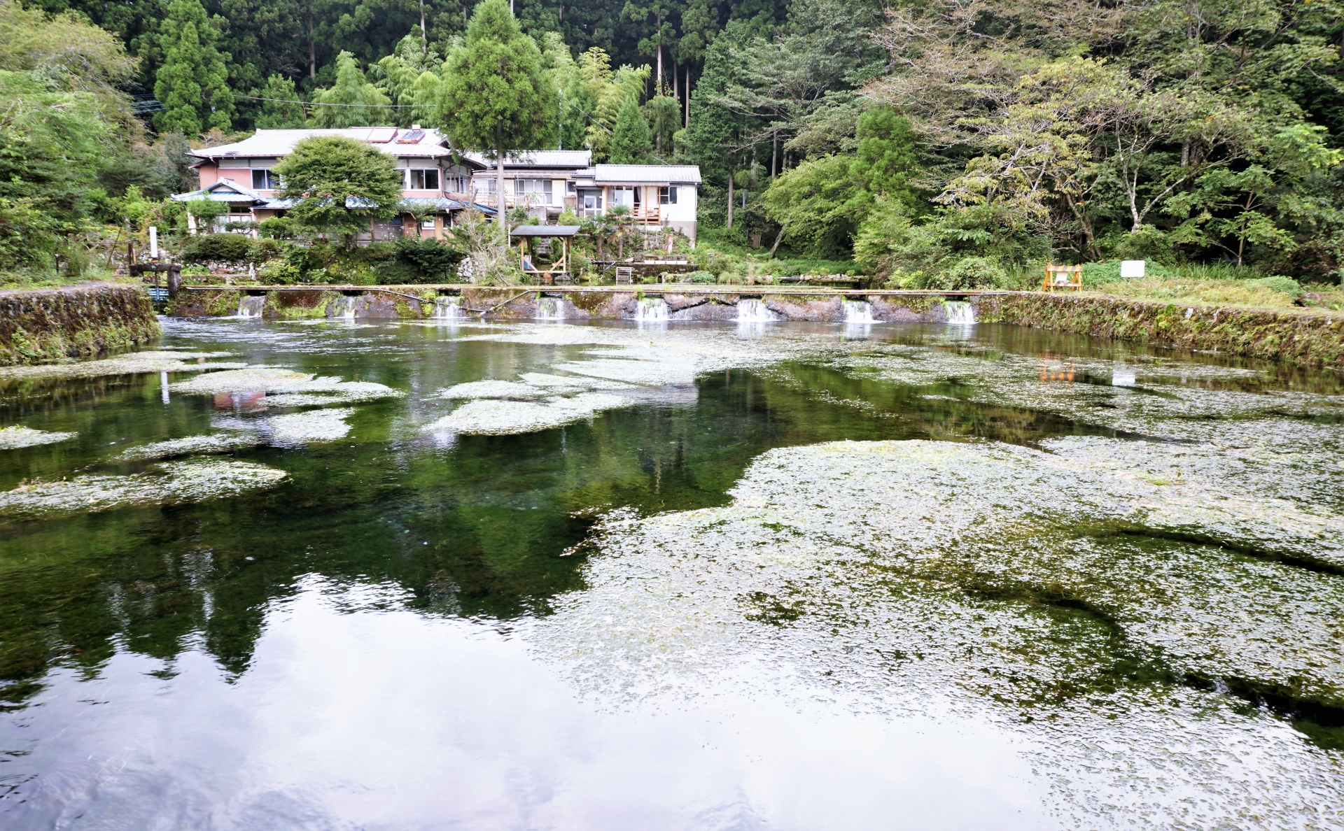 富士養鱒場