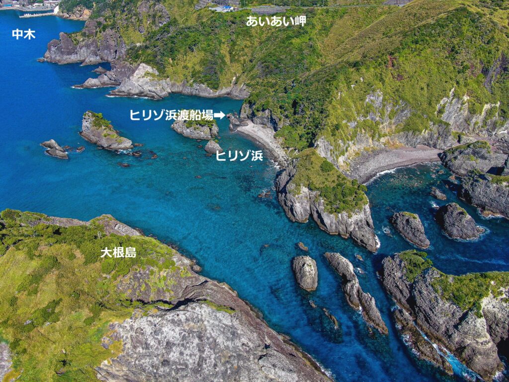 ヒリゾ浜