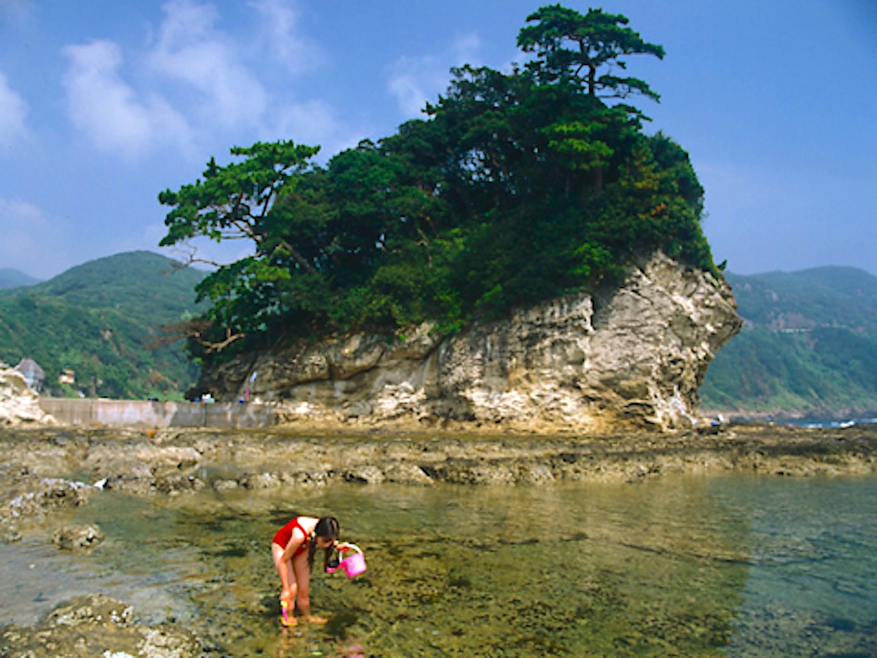 竜宮島