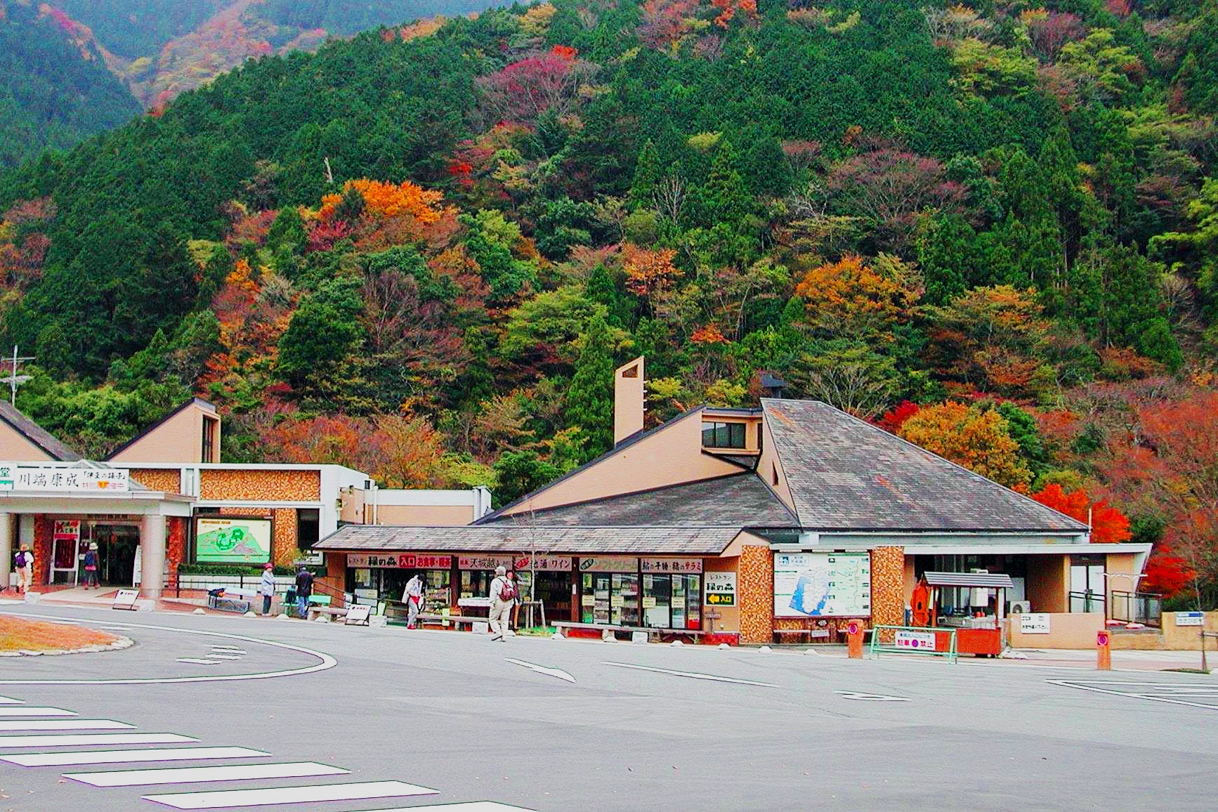 道の駅天城越え（昭和の森会館）