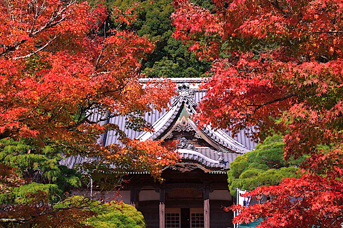 修禅寺