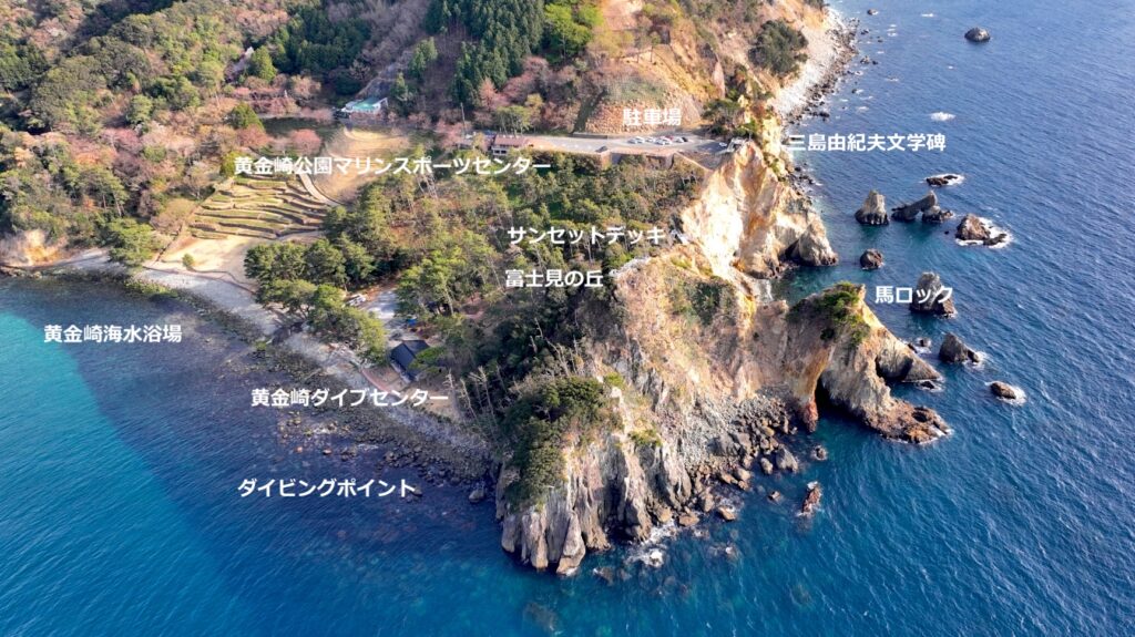 黄金崎