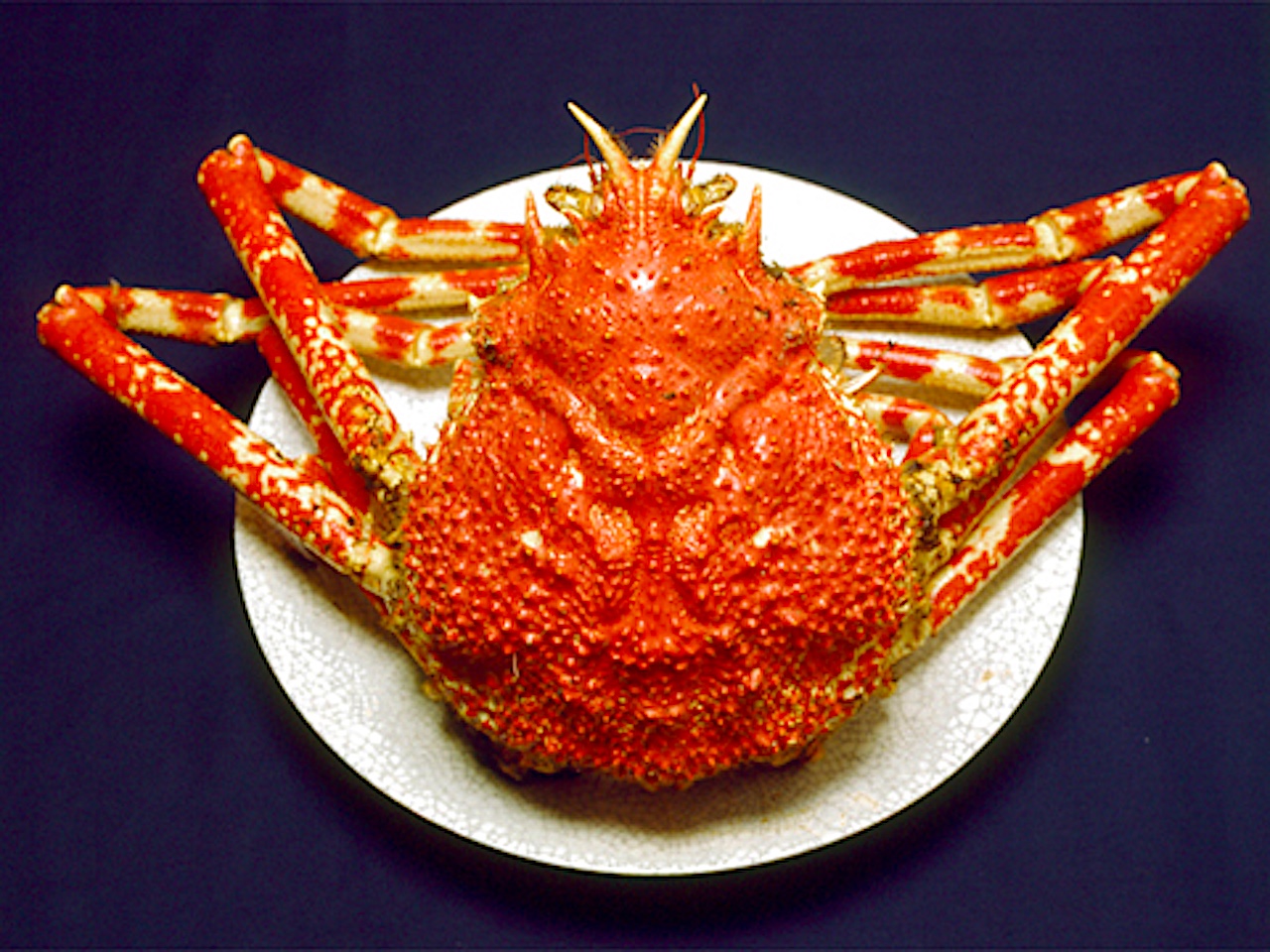 の一食堂