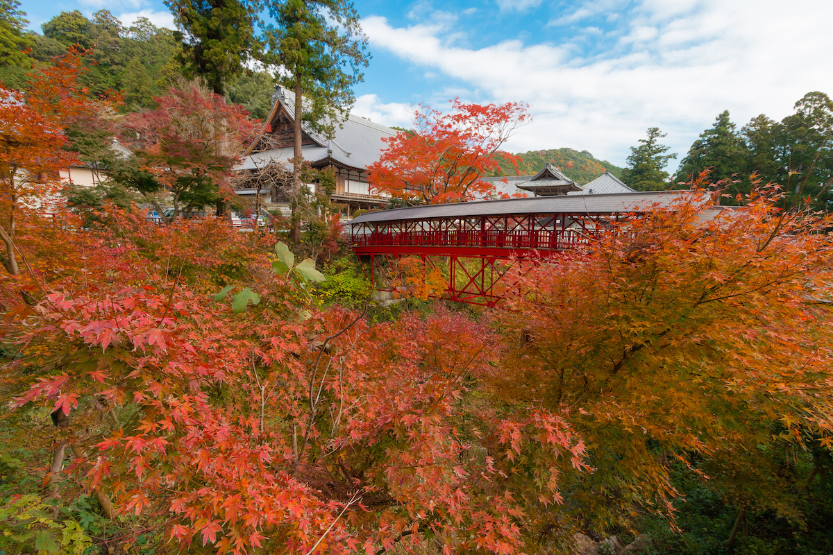 方広寺・奥山半僧坊