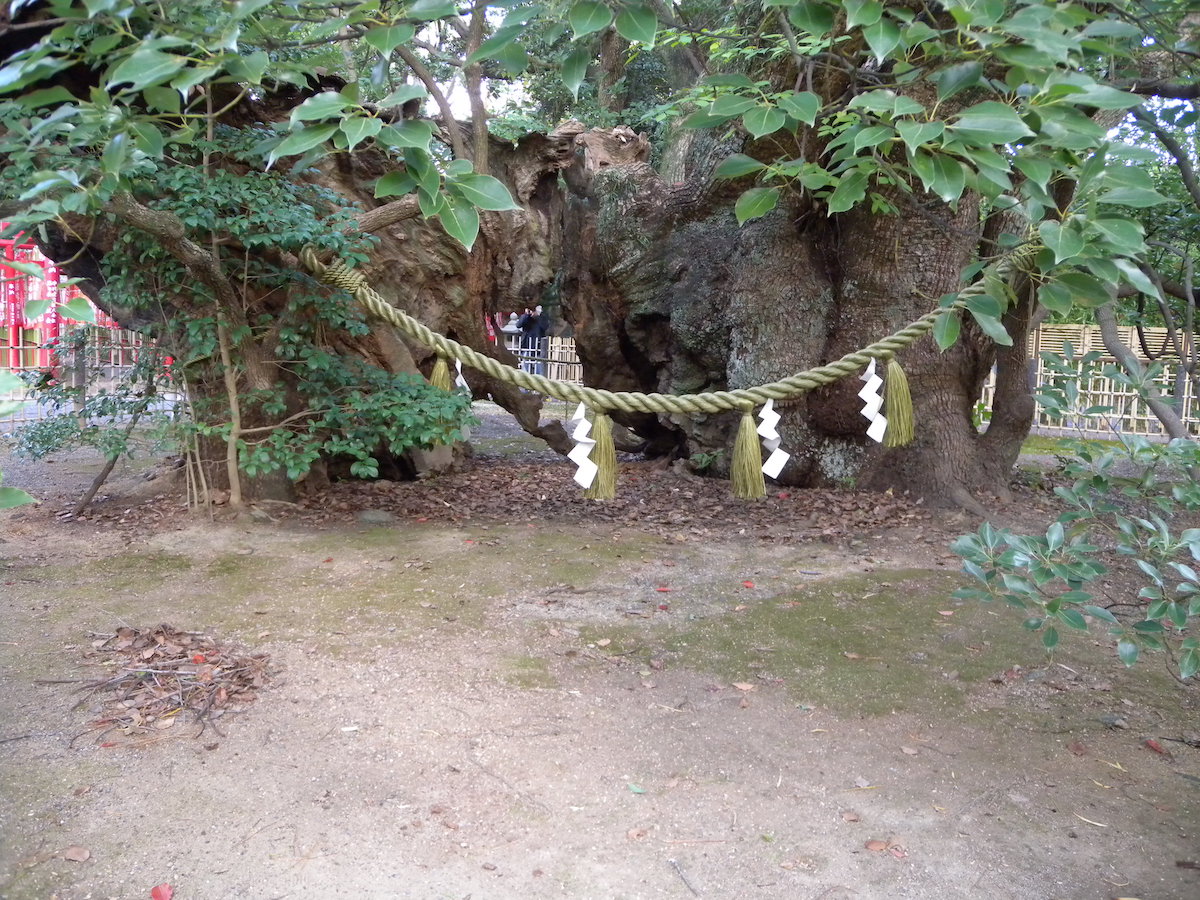 浜松八幡宮