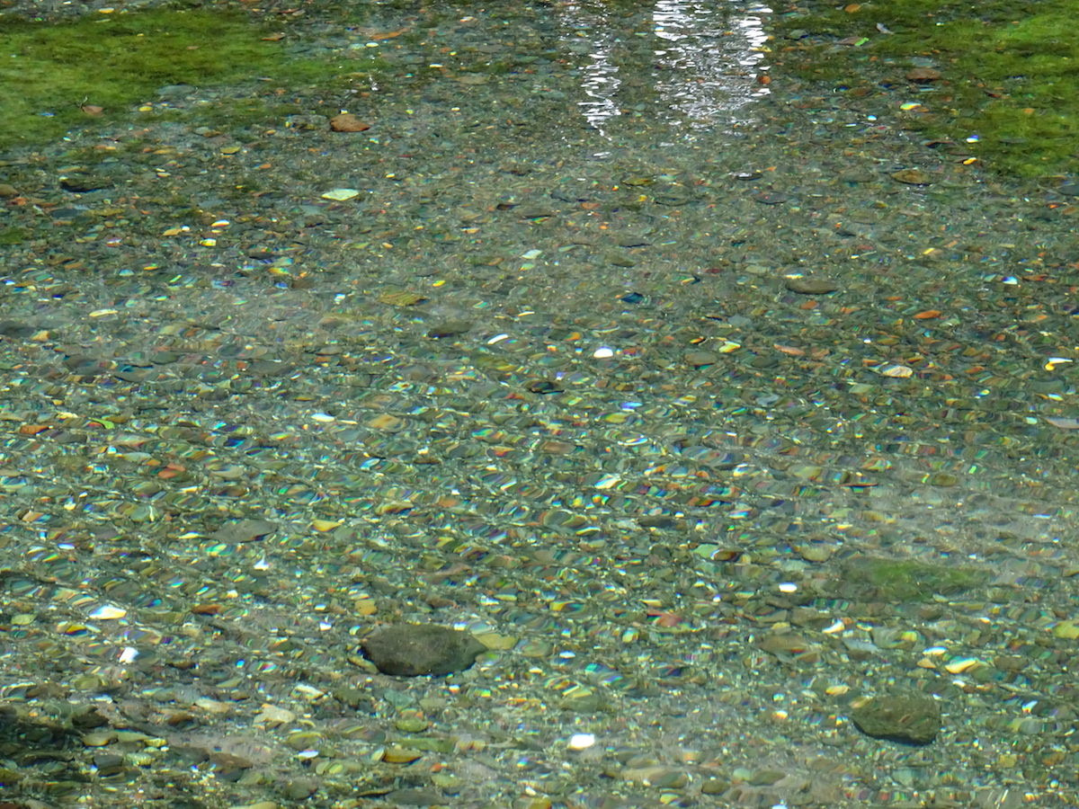 湧玉池