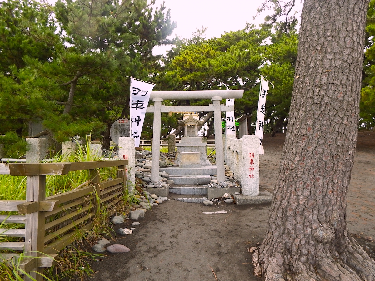 羽衣の松