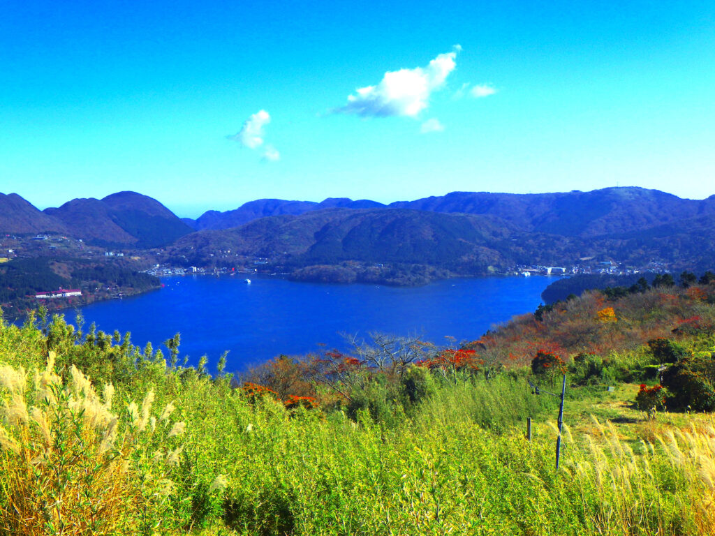 芦ノ湖スカイライン・山伏峠