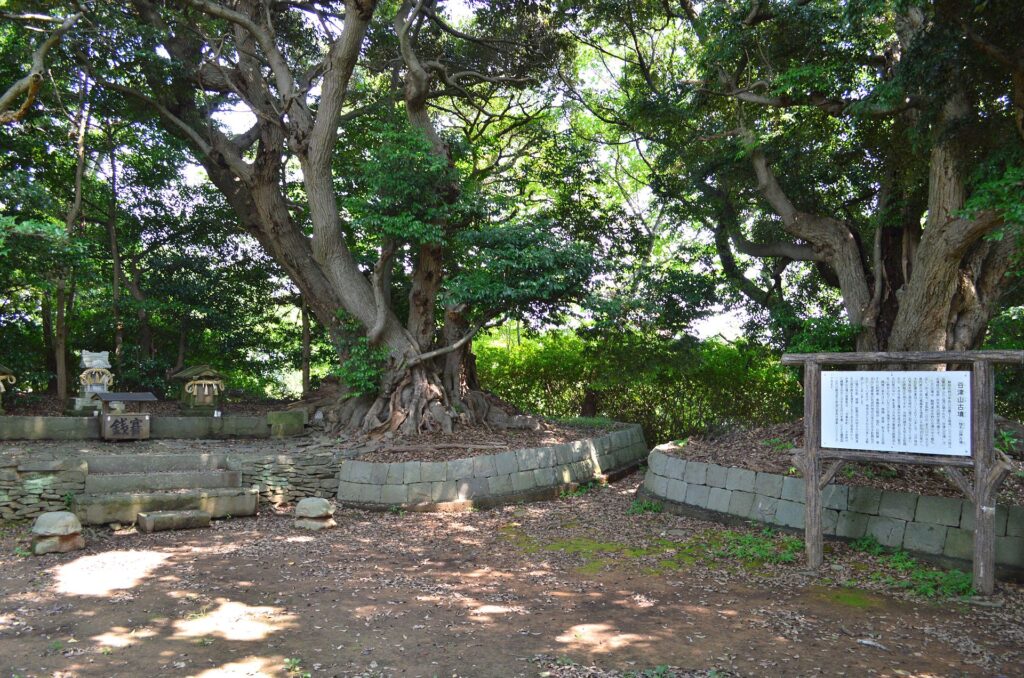 谷津山古墳