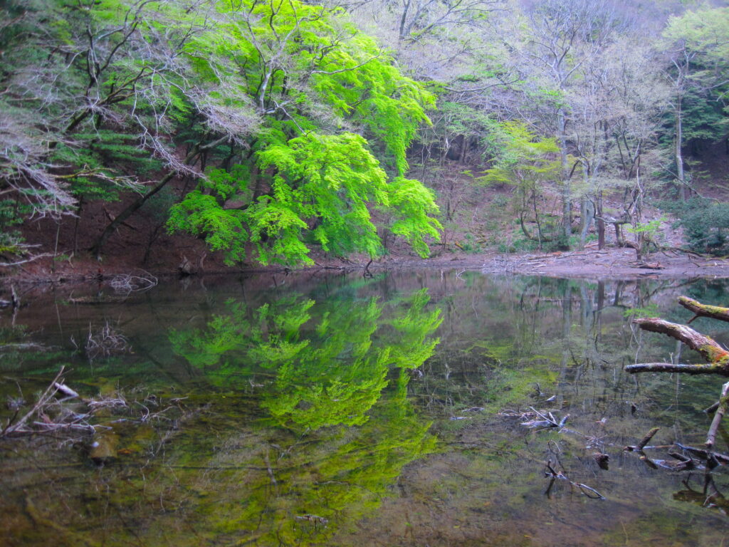 不知沼（シラヌタの池）