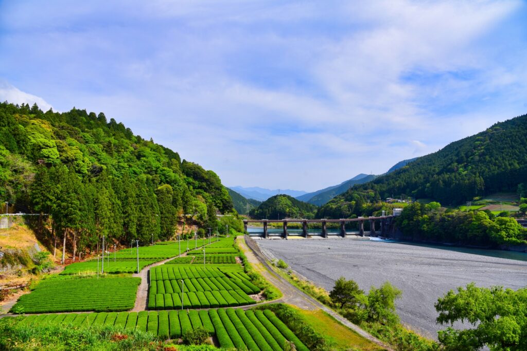 塩郷の吊橋（久野脇橋・恋金橋）