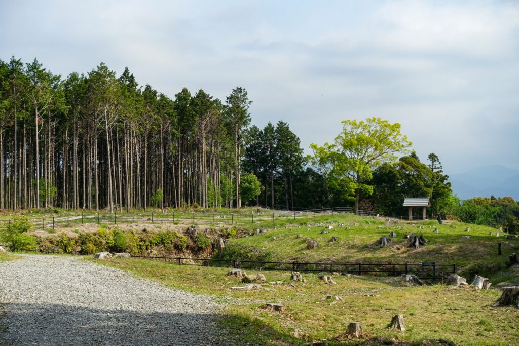 諏訪原城