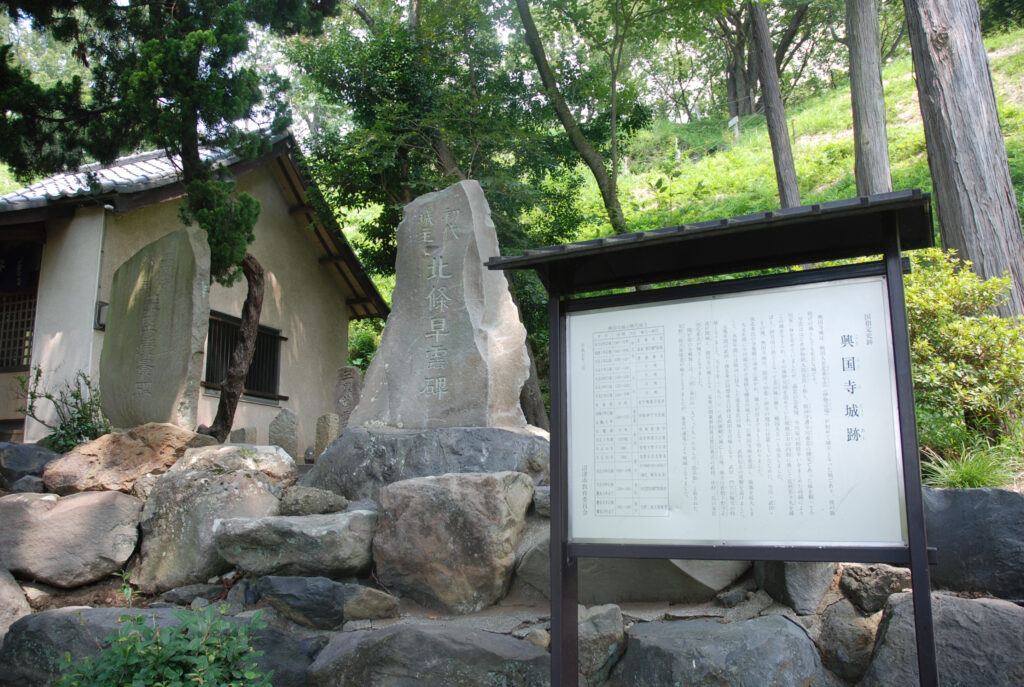興国寺城