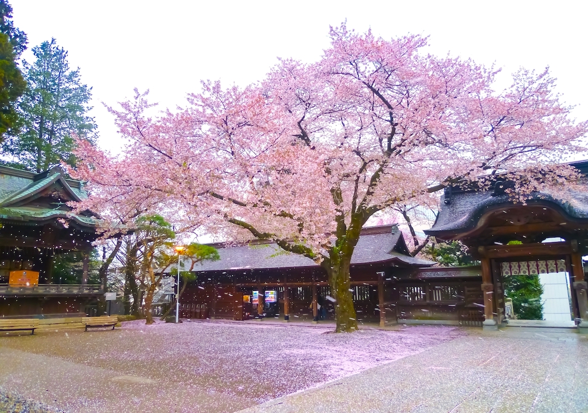 二荒山神社
