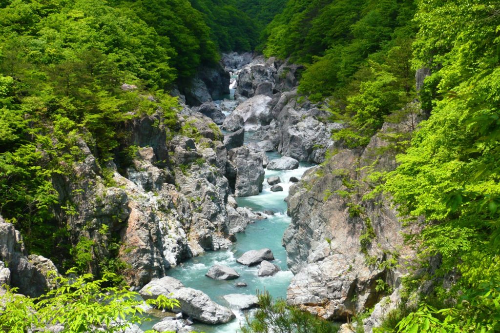 龍王峡自然研究路