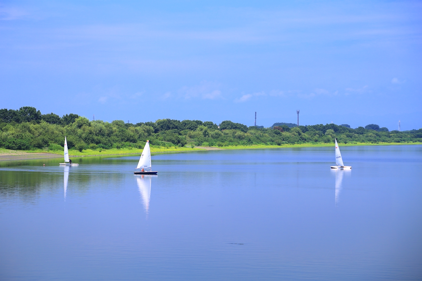 谷中湖（渡良瀬遊水地）