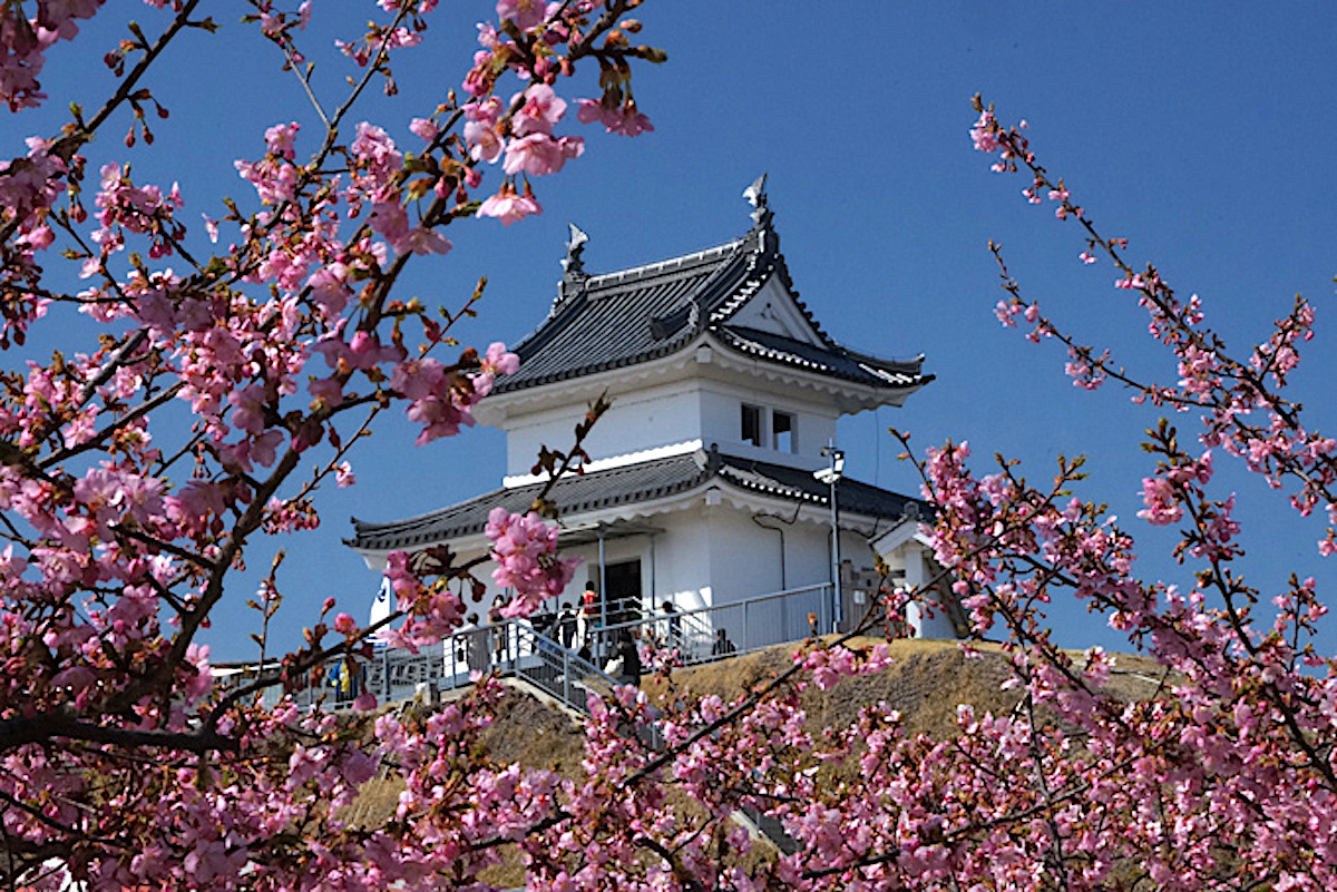 宇都宮城