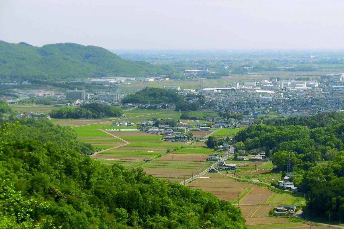 唐沢山城