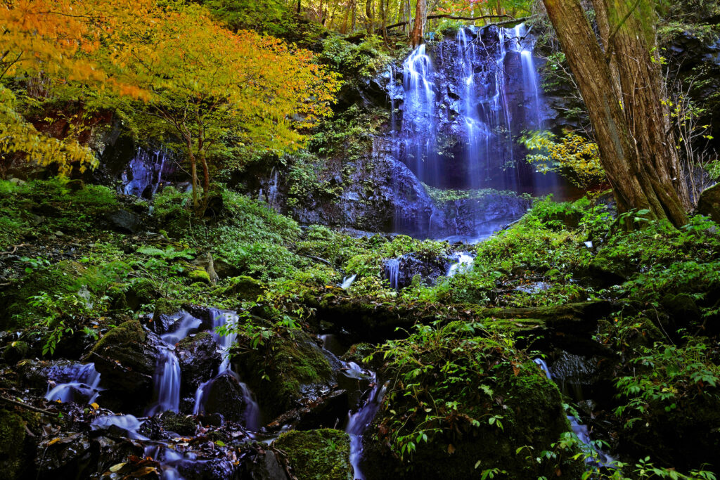 素簾の滝